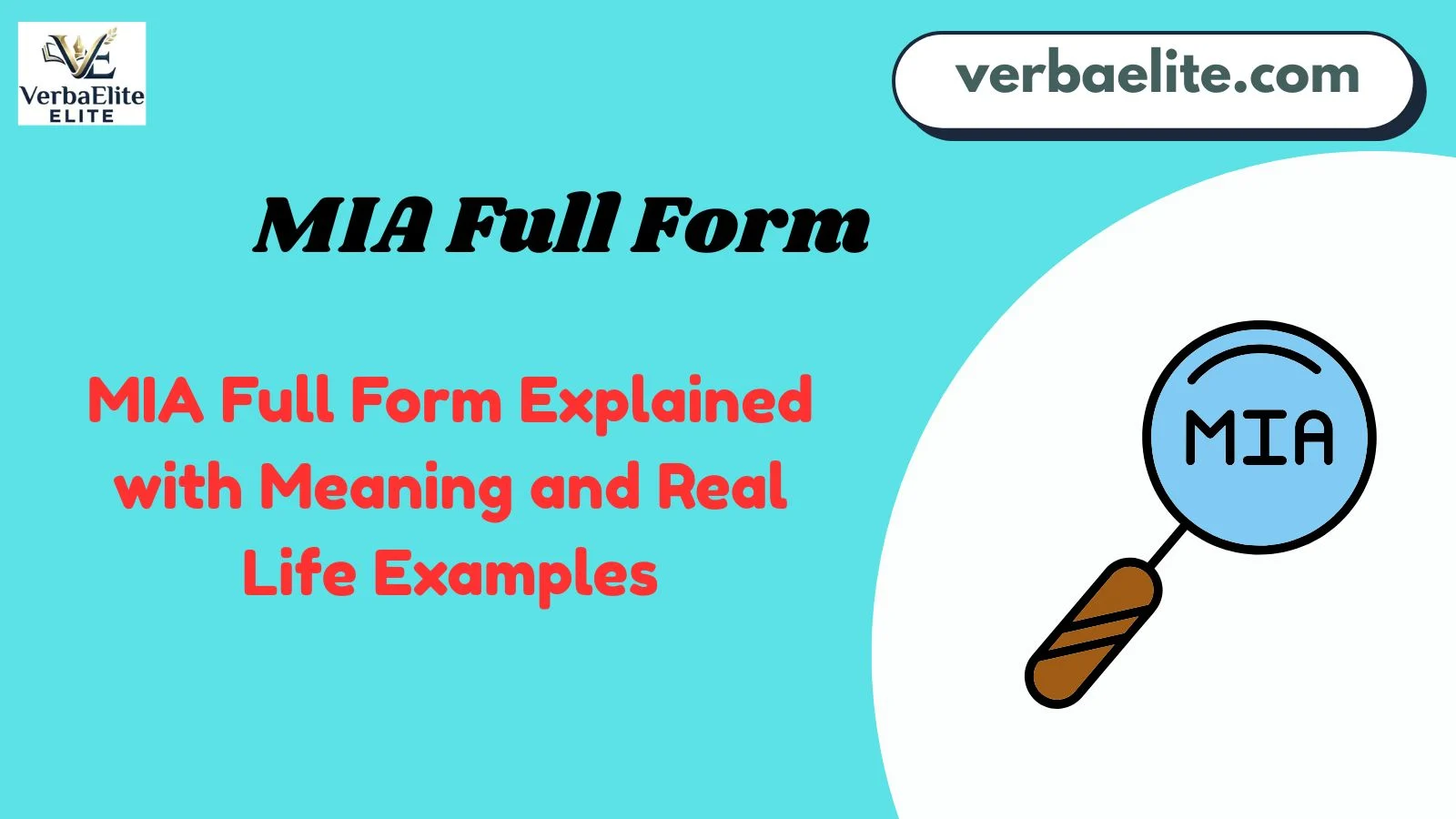 MIA Full Form