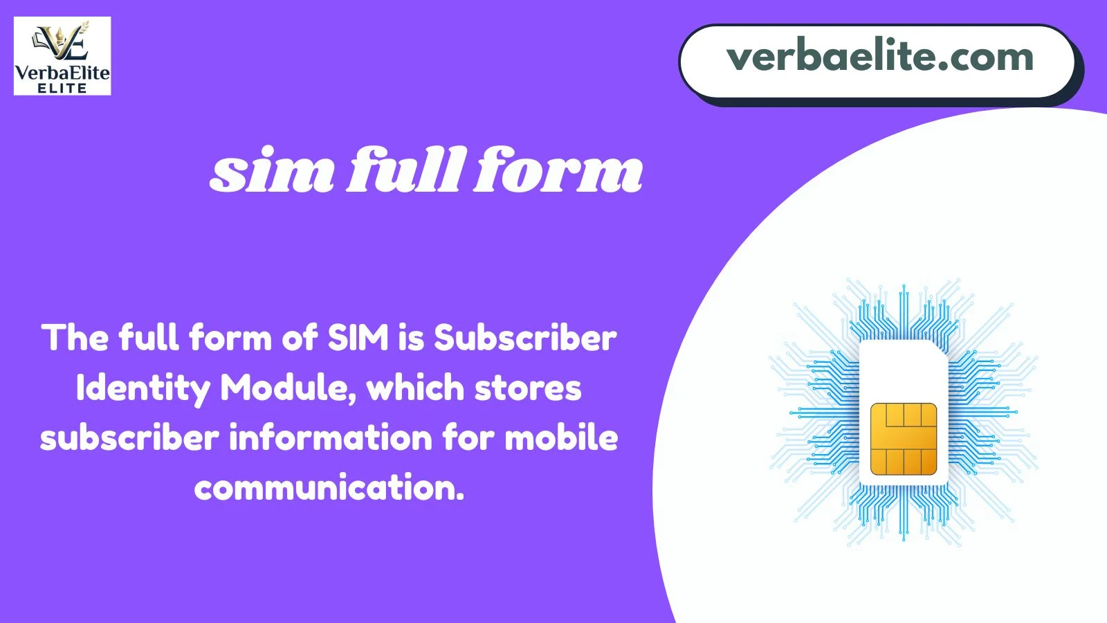 sim full form