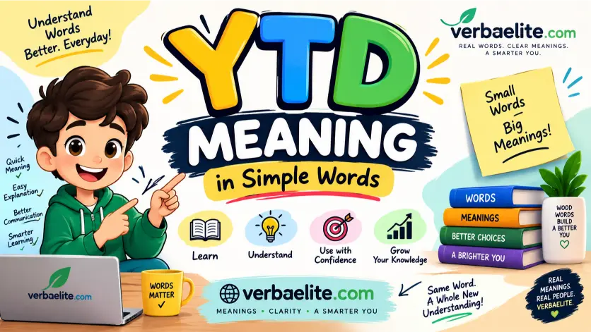 YTD Meaning in Simple Words